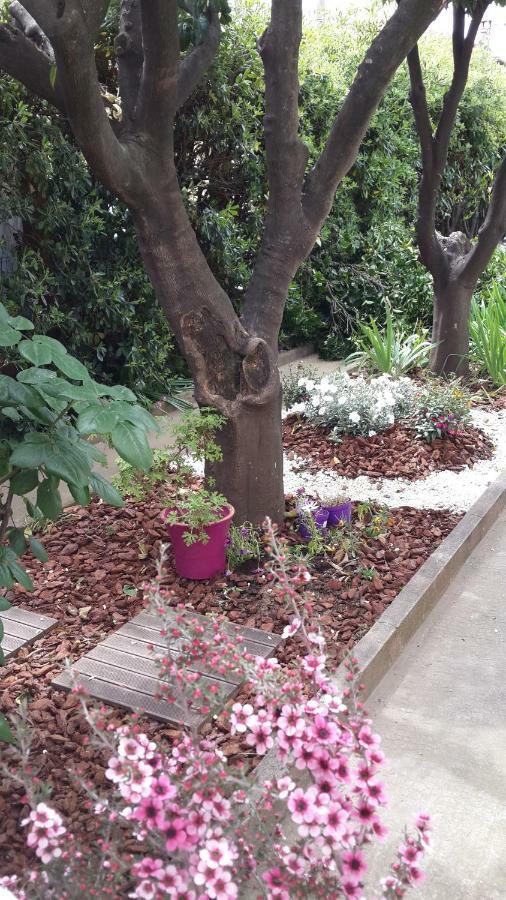Lovely House Cagnes-sur-Mer Bagian luar foto